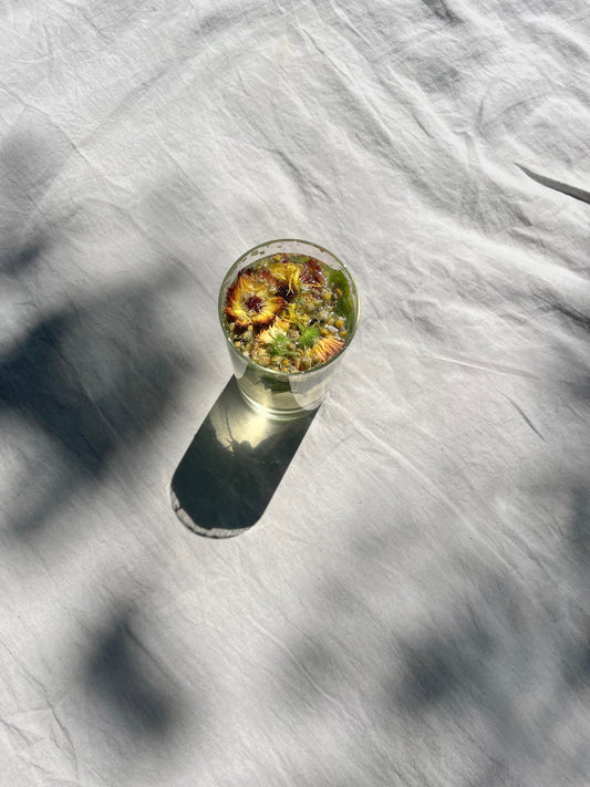Sun Care 101: Your Guide to Glow