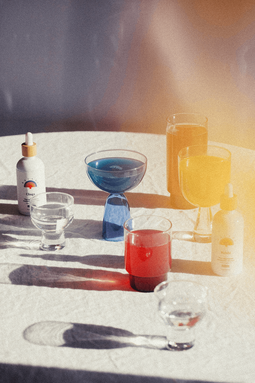 Chaga - Antioxidant Mushroom Tincture