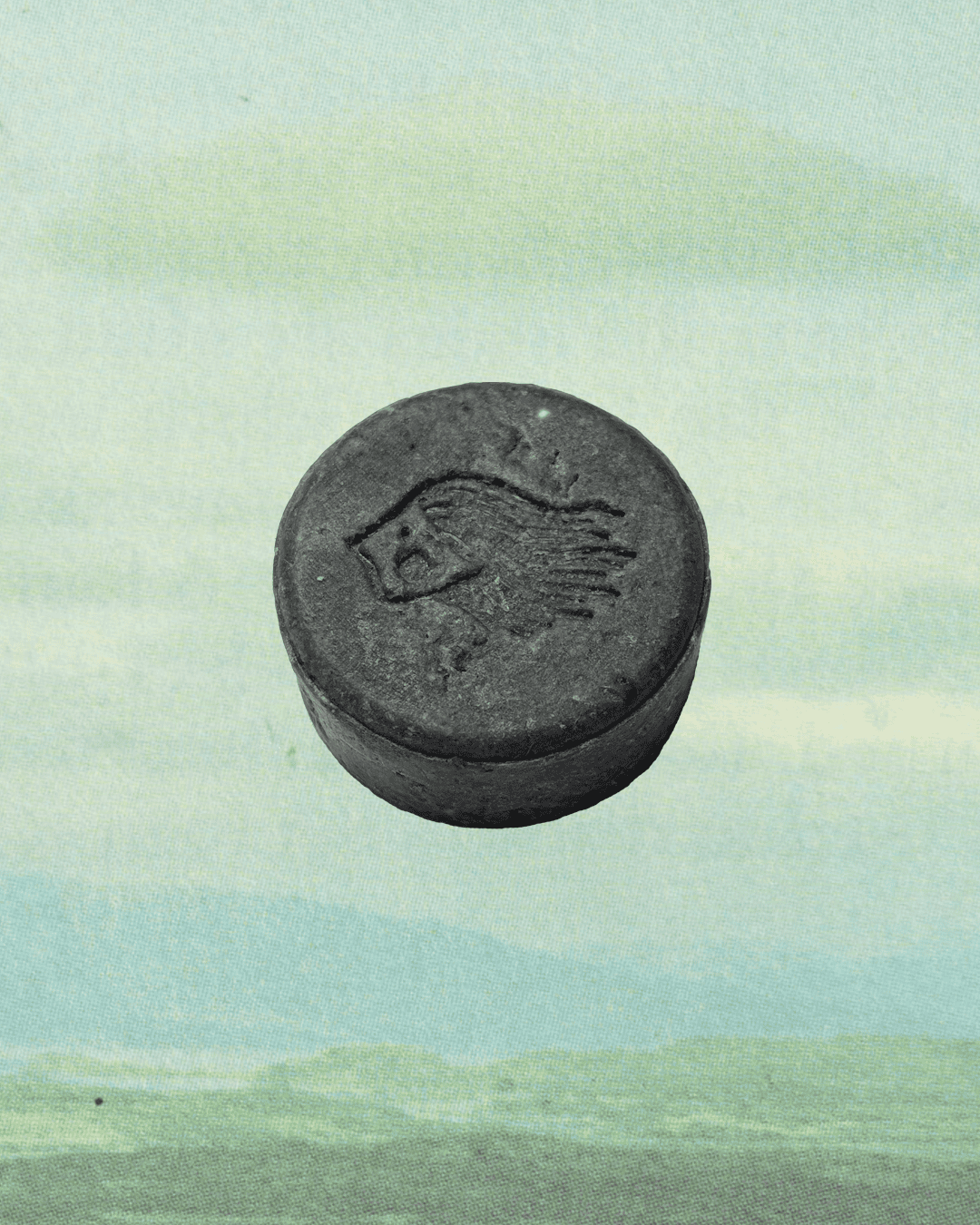 Shampoo Bar