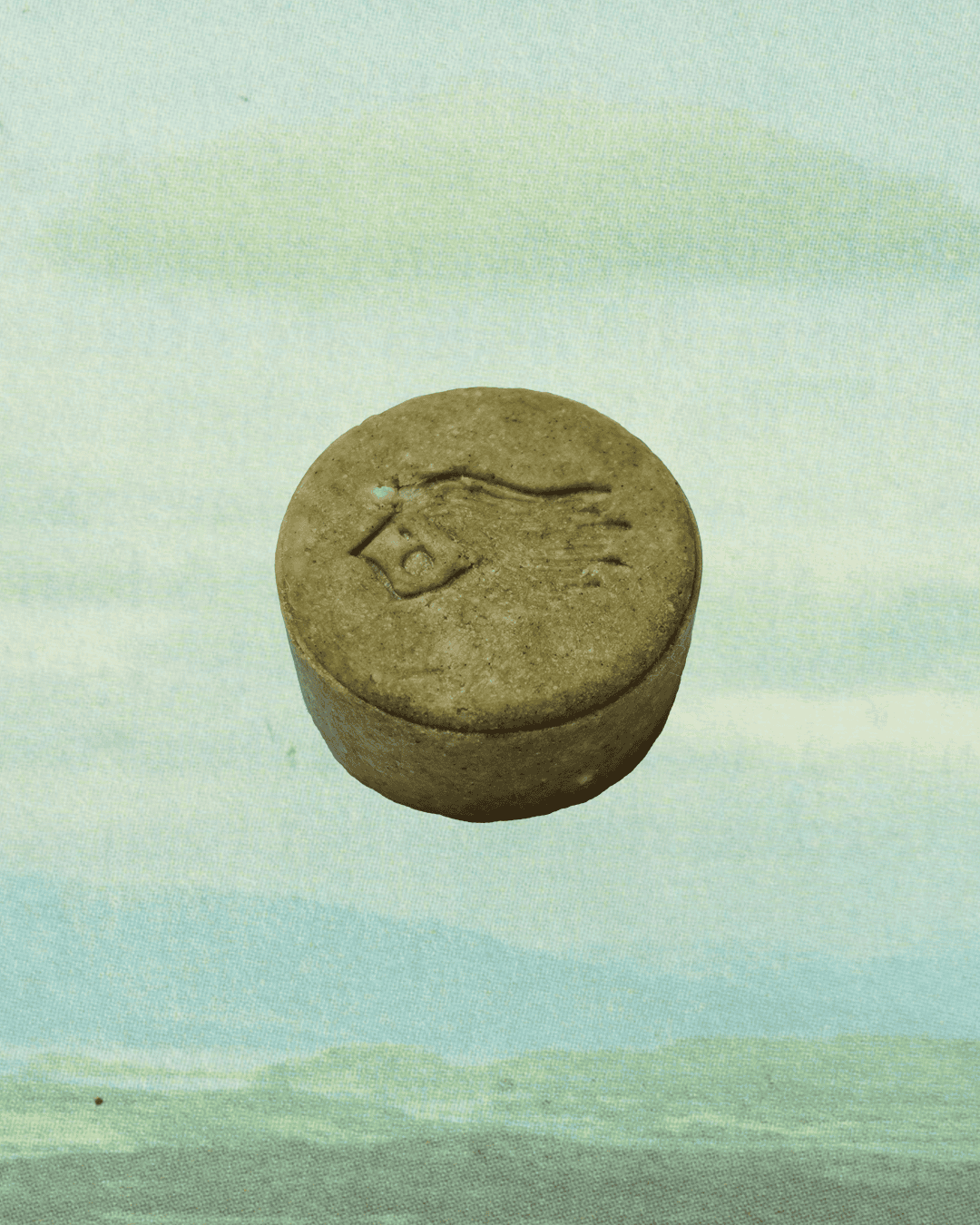 Shampoo Bar