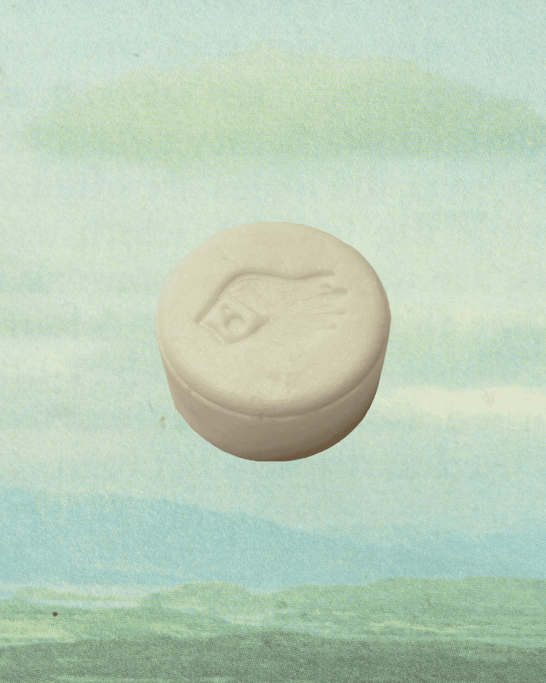 Shampoo Bar