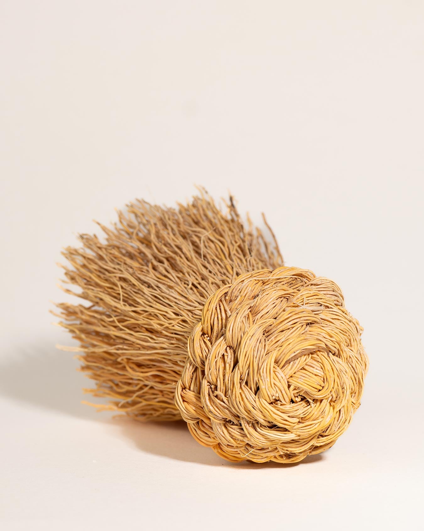 Kitchen Brush