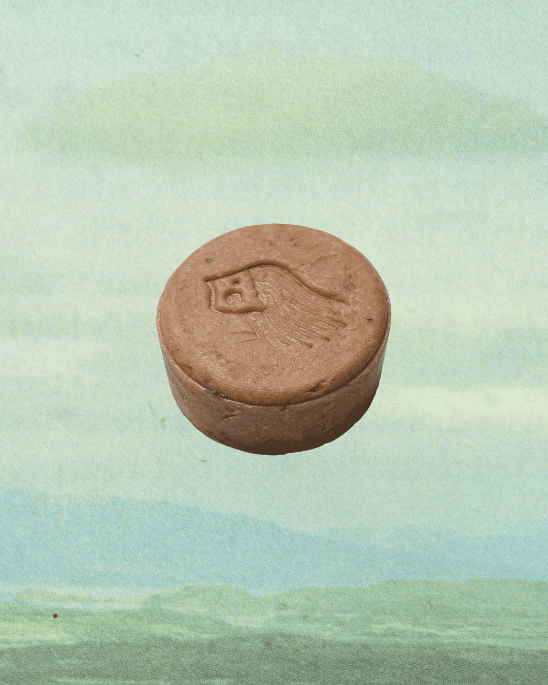 Shampoo Bar