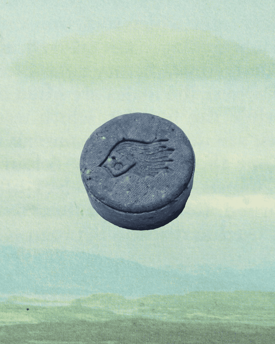 Shampoo Bar