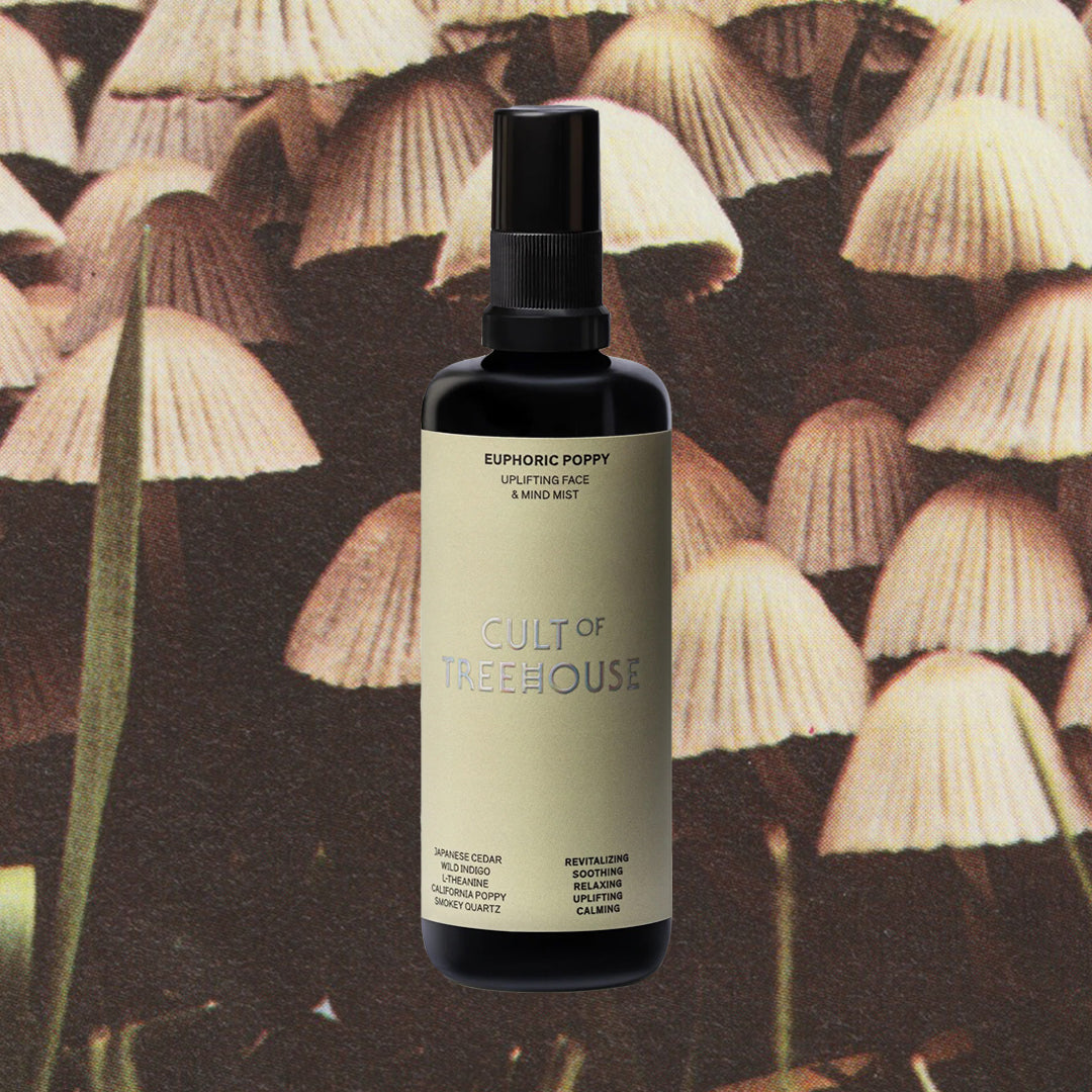 Euphoric Poppy Face & Mind Mist