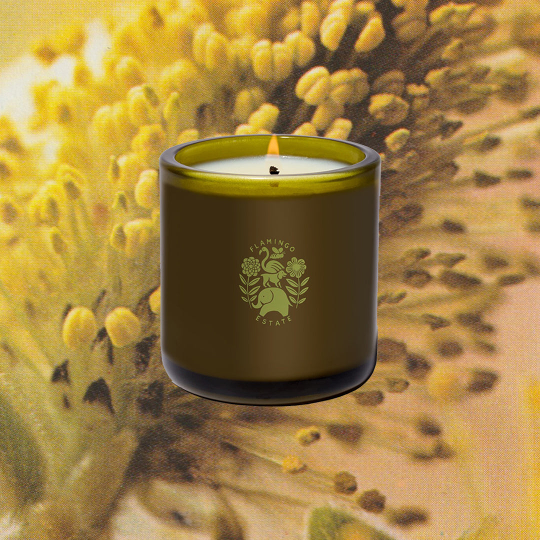 Climbing Tuscan Rosemary Candle