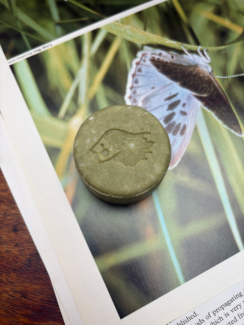 Shampoo Bar