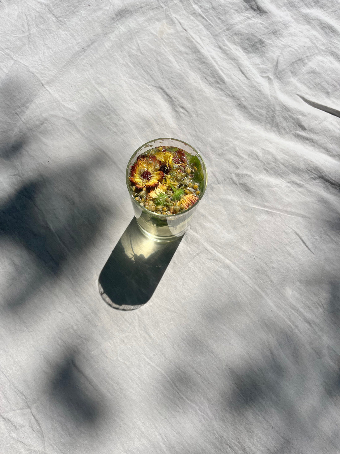 Sun Care 101: Your Guide to Glow