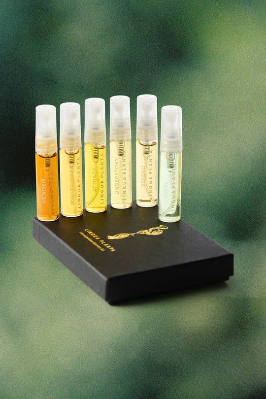 Botanical Perfume Discovery Set