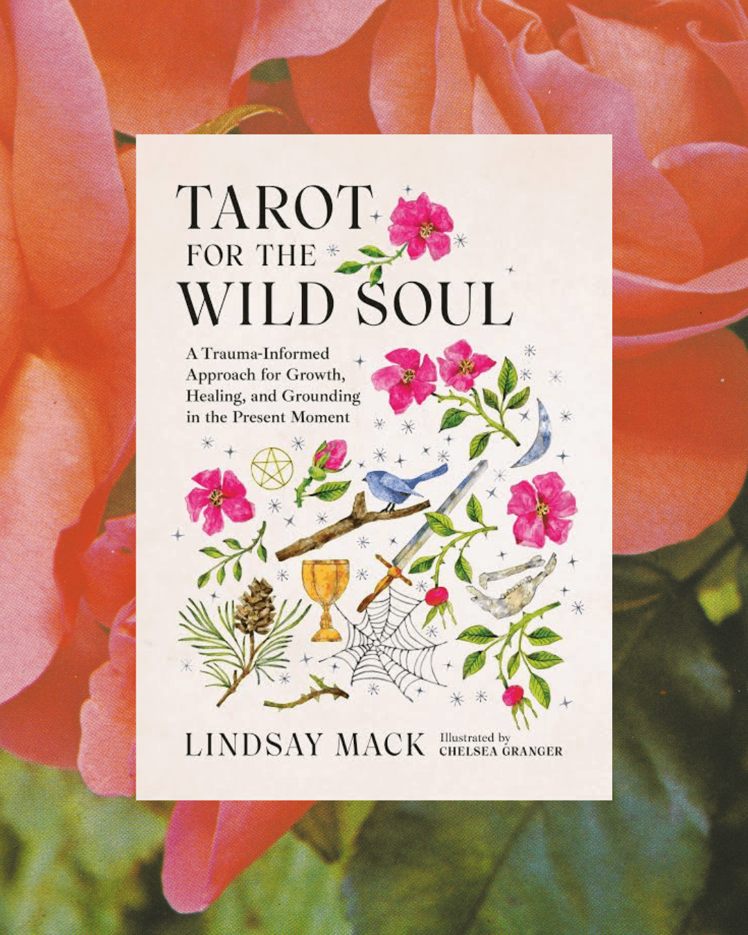Tarot for the Wild Soul Book