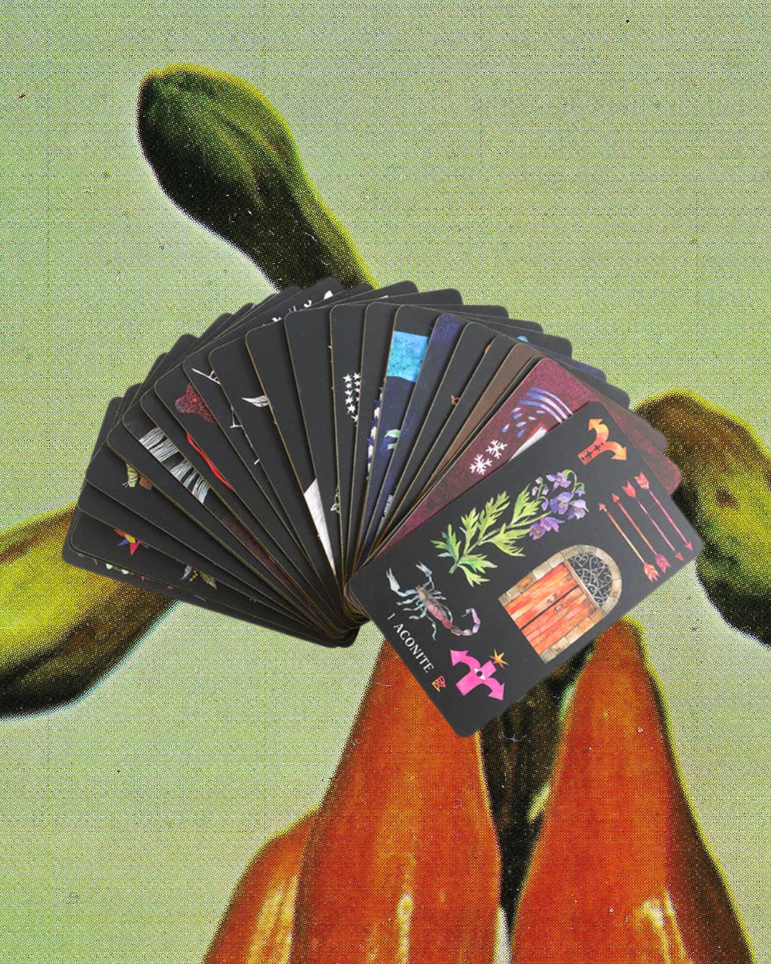 Dirt Gems: Plant Oracle Deck & Guidebook