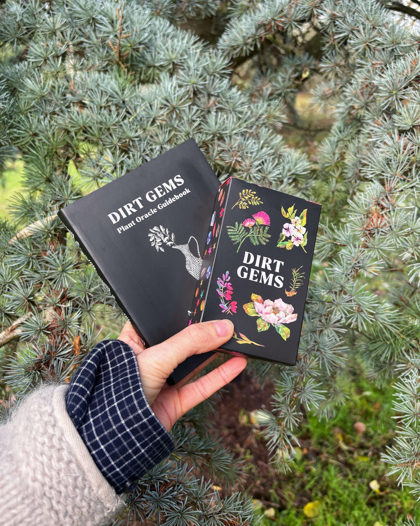 Dirt Gems: Plant Oracle Deck & Guidebook
