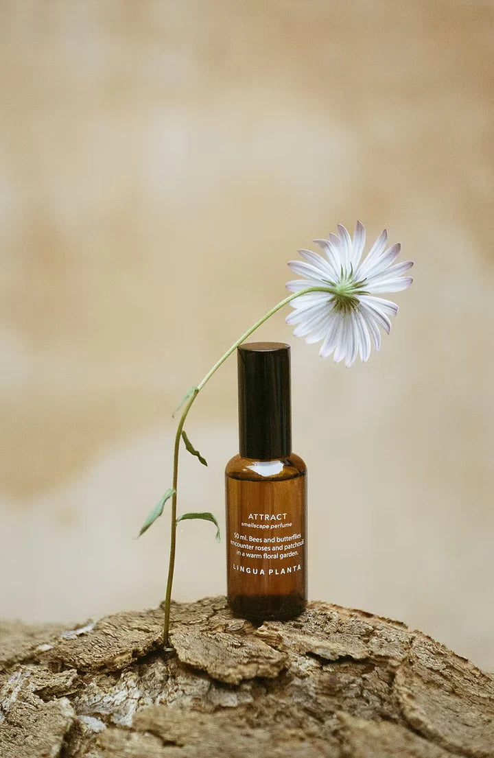 Botanical Perfume – PREORDER