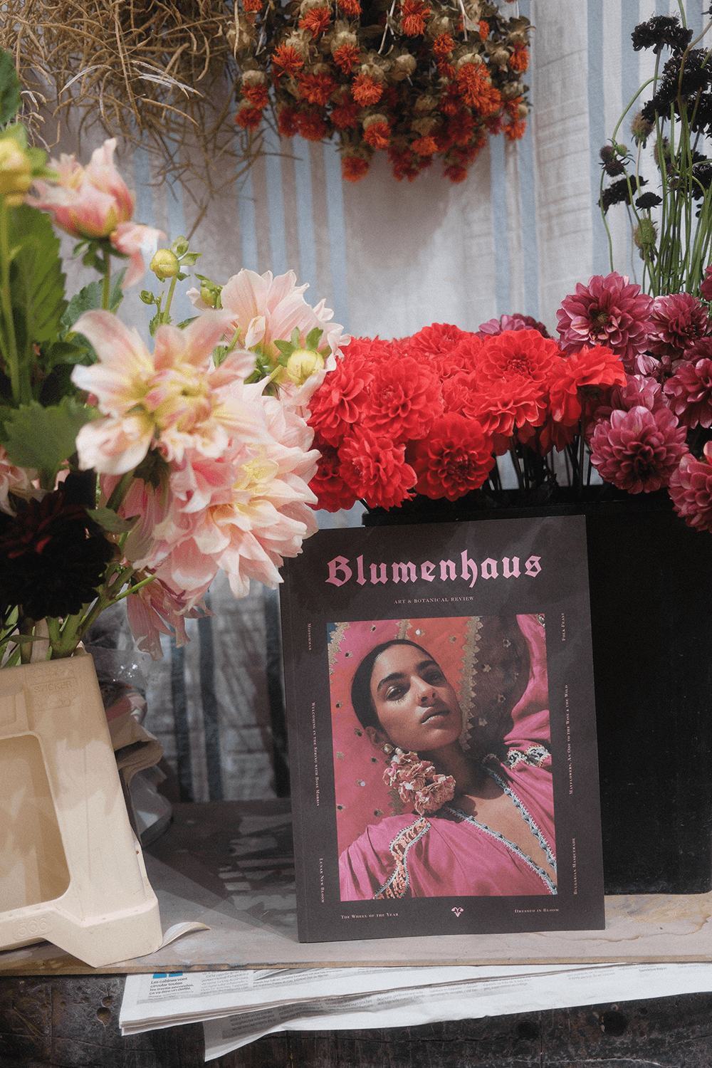 Blumenhaus - Issue 6