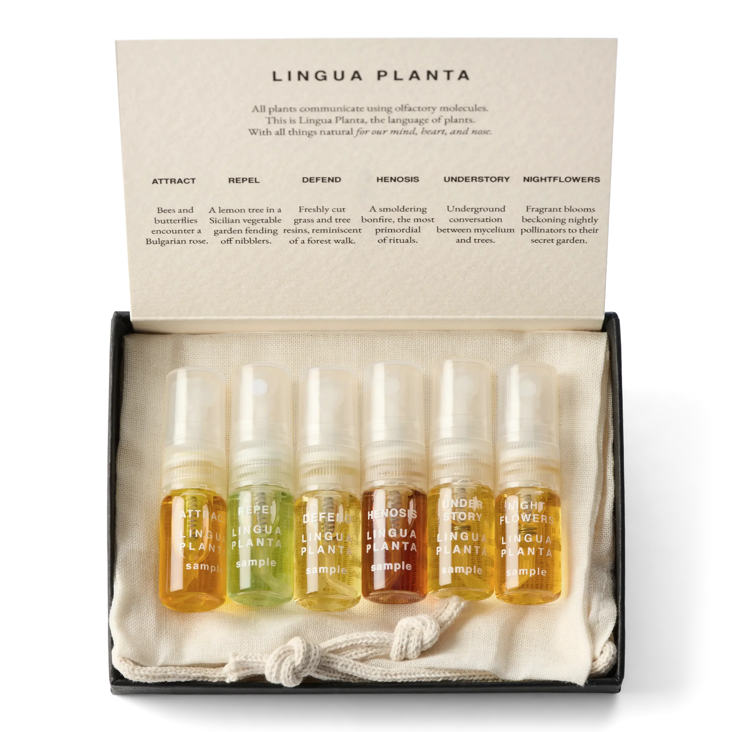Botanical Perfume Discovery Set