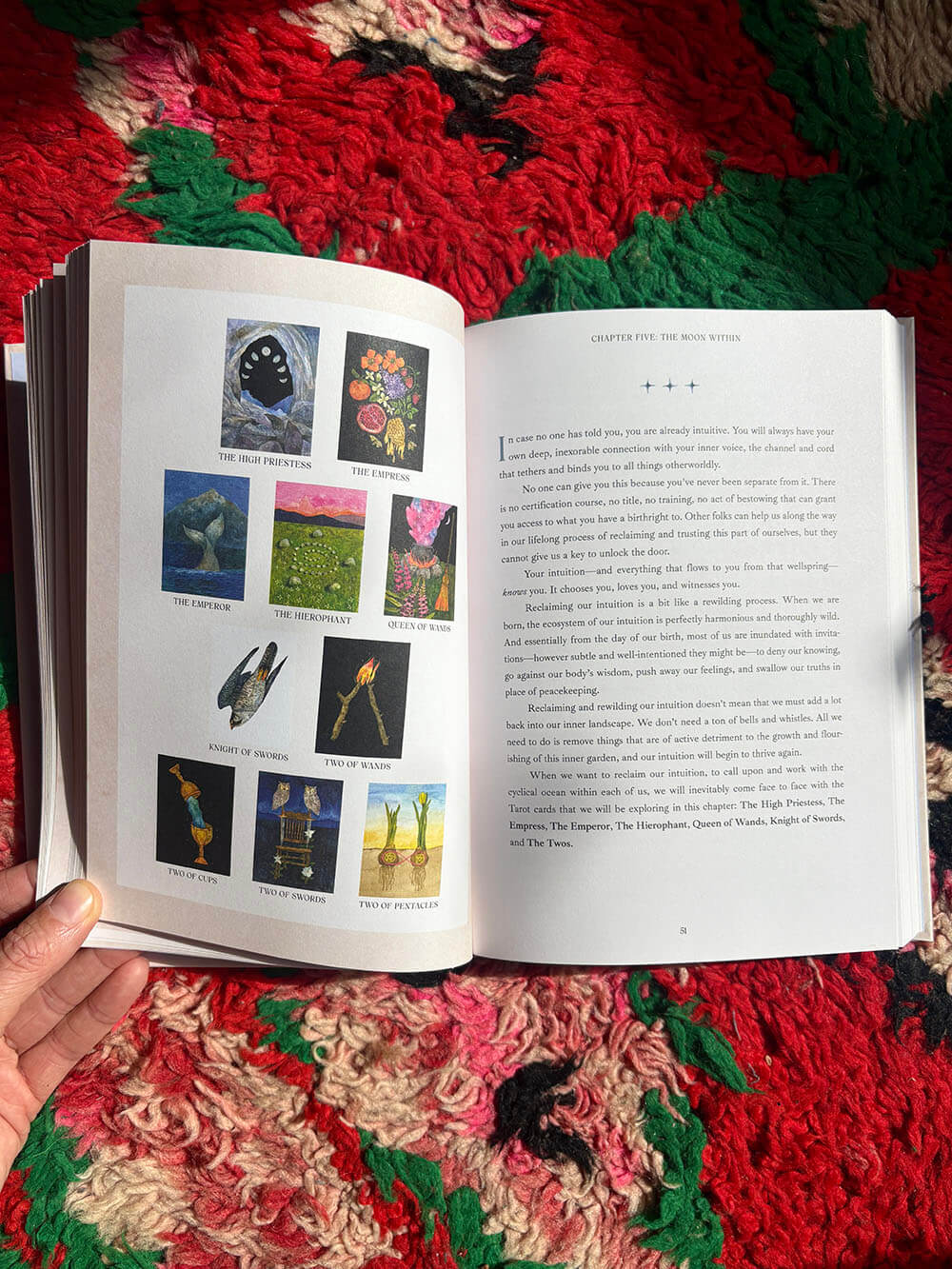 Tarot for the Wild Soul Book