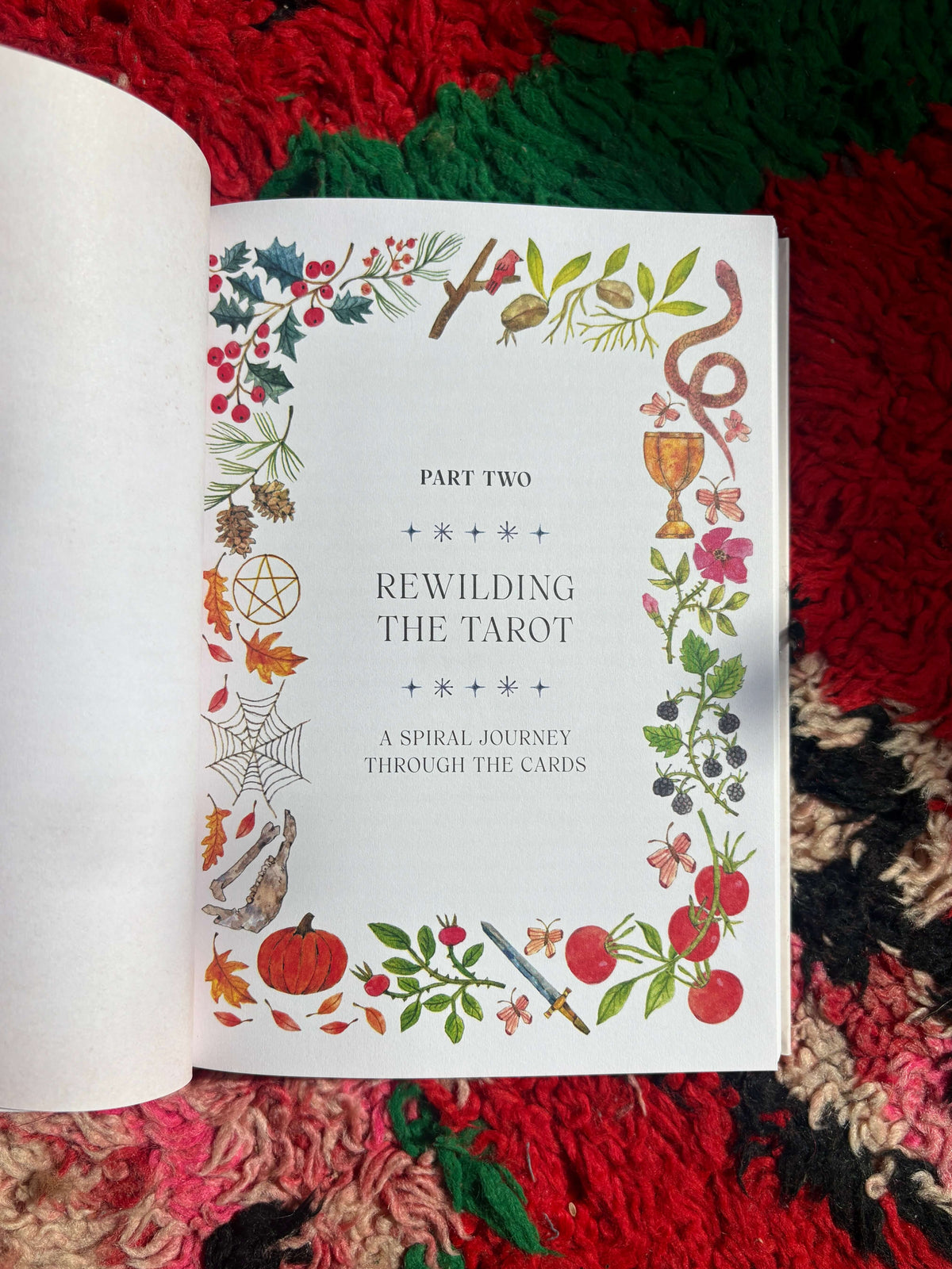 Tarot for the Wild Soul Book