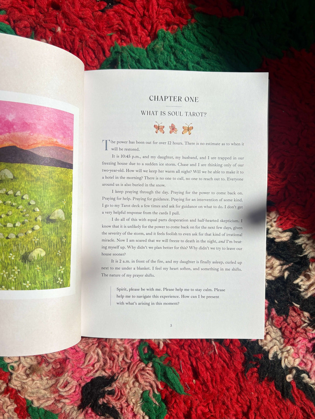 Tarot for the Wild Soul Book