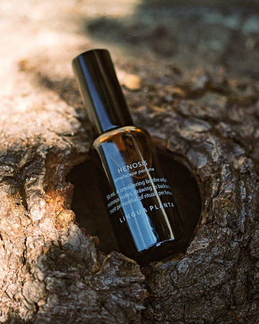 Botanical Perfume – PREORDER