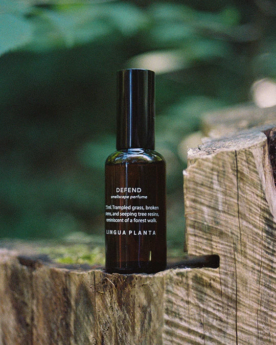 Botanical Perfume – PREORDER