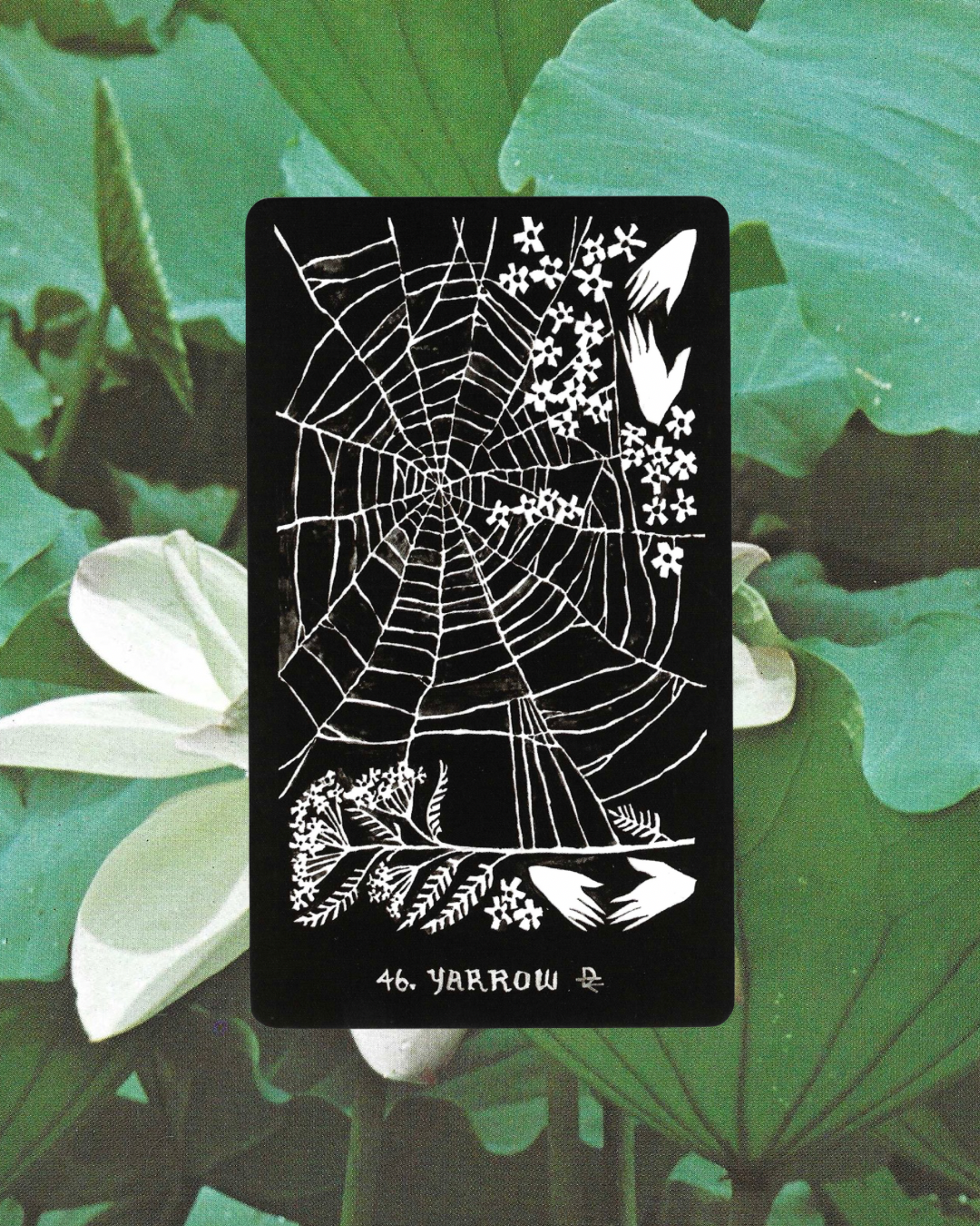 Dirt Gems: Plant Oracle Deck & Guidebook