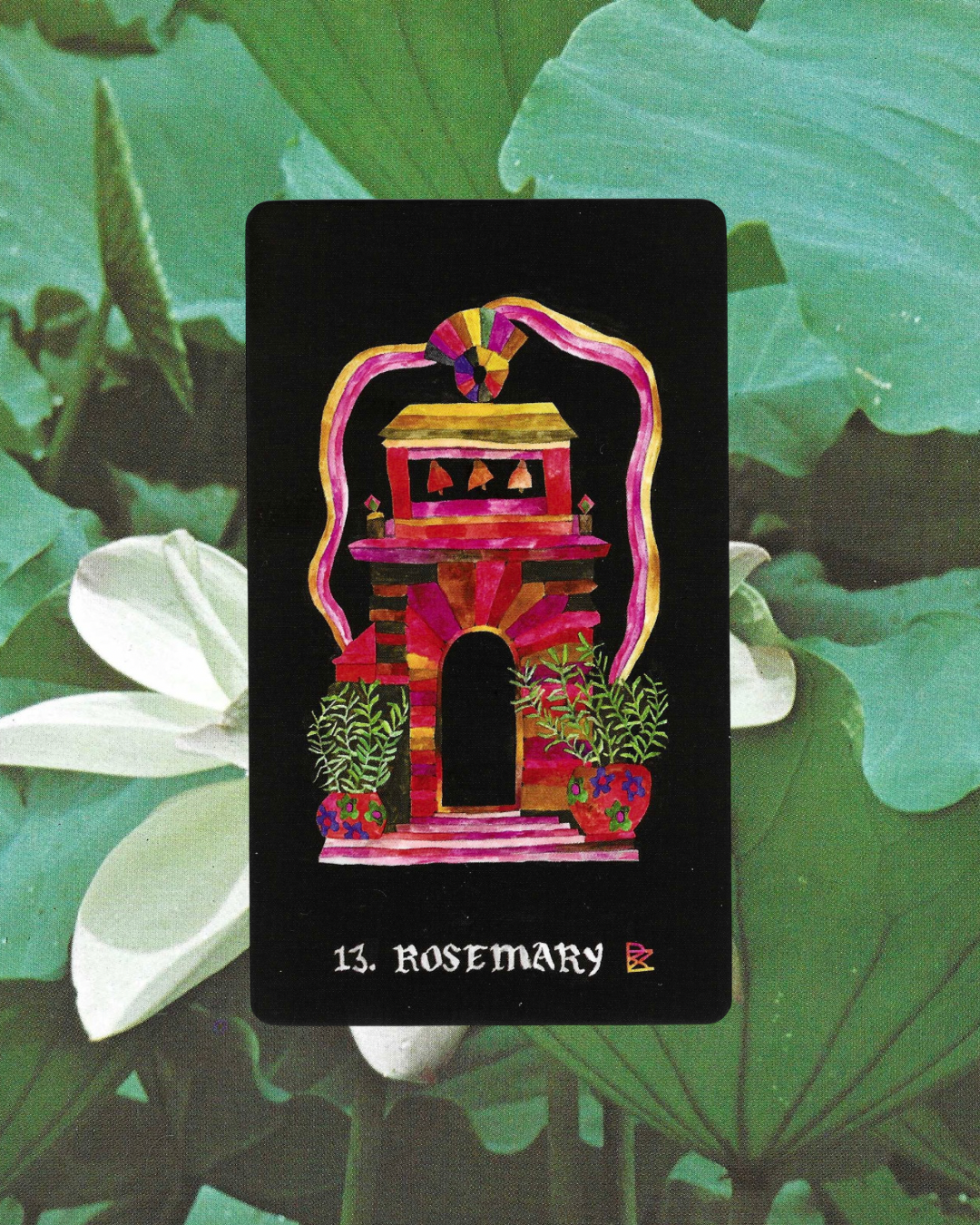 Dirt Gems: Plant Oracle Deck & Guidebook