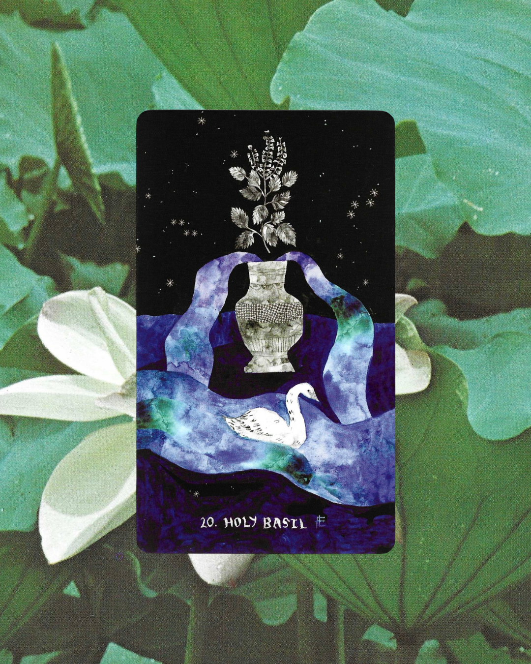 Dirt Gems: Plant Oracle Deck & Guidebook