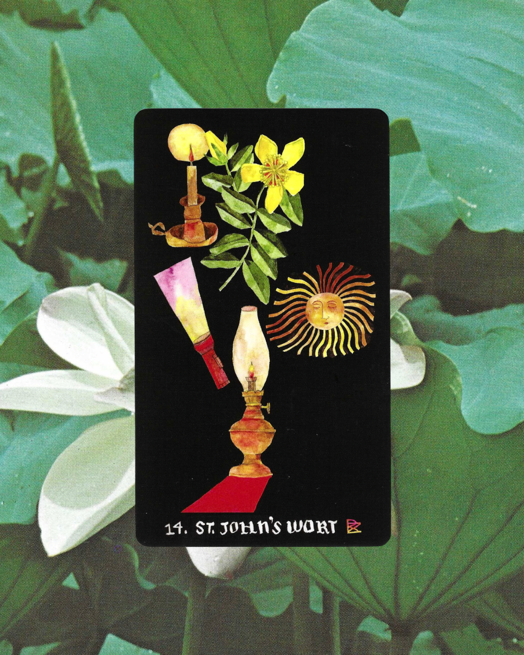 Dirt Gems: Plant Oracle Deck & Guidebook