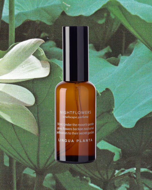 Nightflowers Botanical Perfume – PREORDER