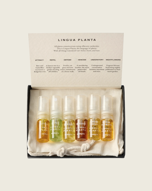 Botanical Perfume Discovery Set