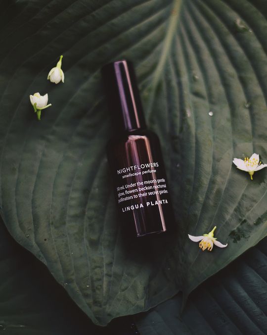 Nightflowers Botanical Perfume – PREORDER