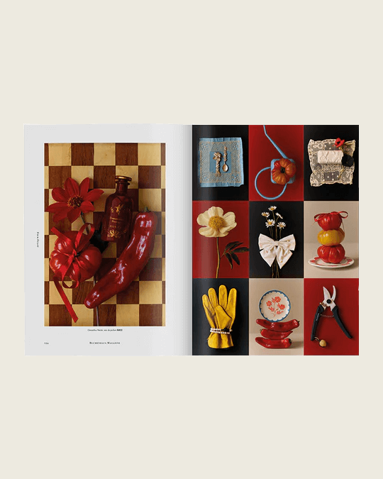 Blumenhaus - Issue 6